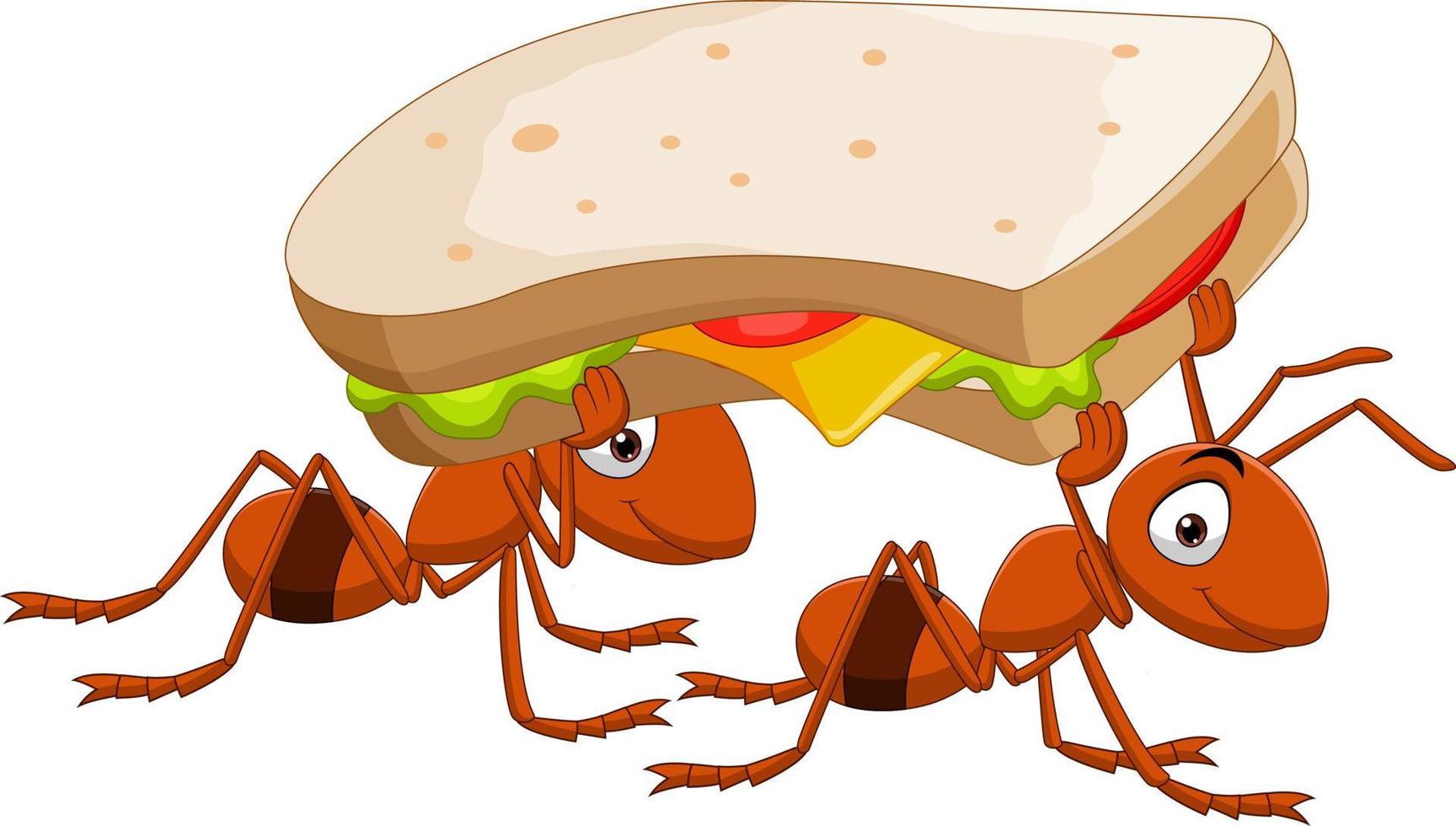 Cute two ants carrying a sandwich vector