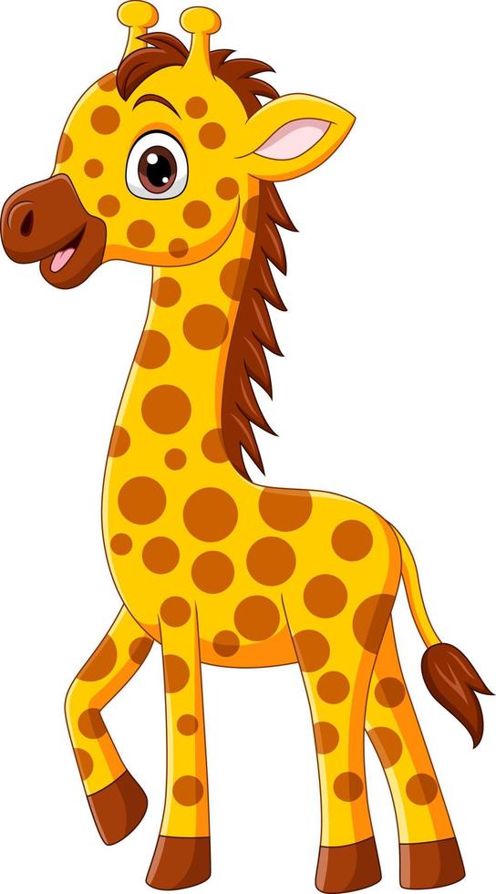 Cute baby giraffe cartoon isolated on white background vector