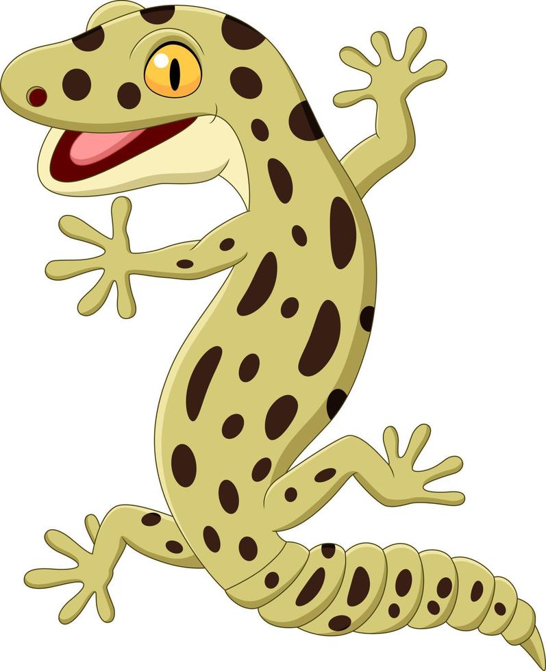 Gecko de dibujos animados aislado sobre fondo blanco. vector