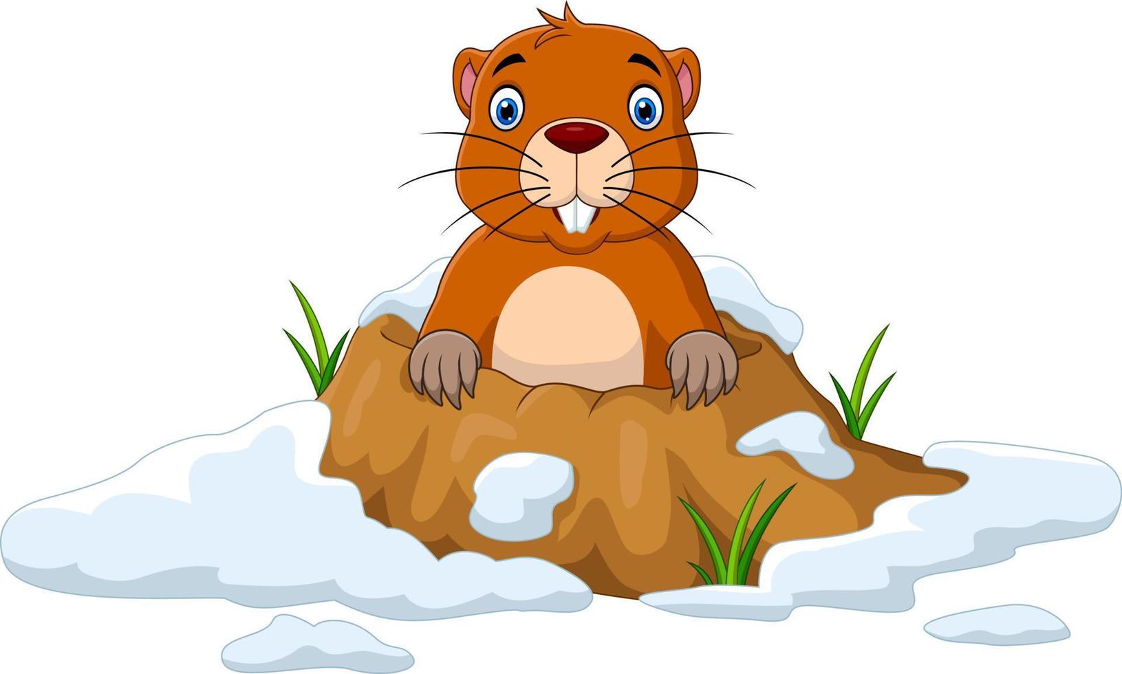 Cartoon groundhog looking out of hole vector