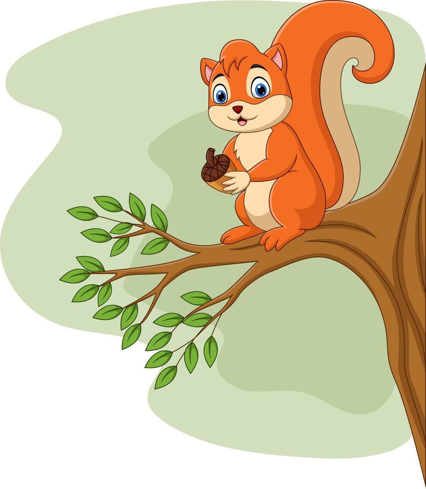 Cartoon squirrel holding pine cone on tree branch vector