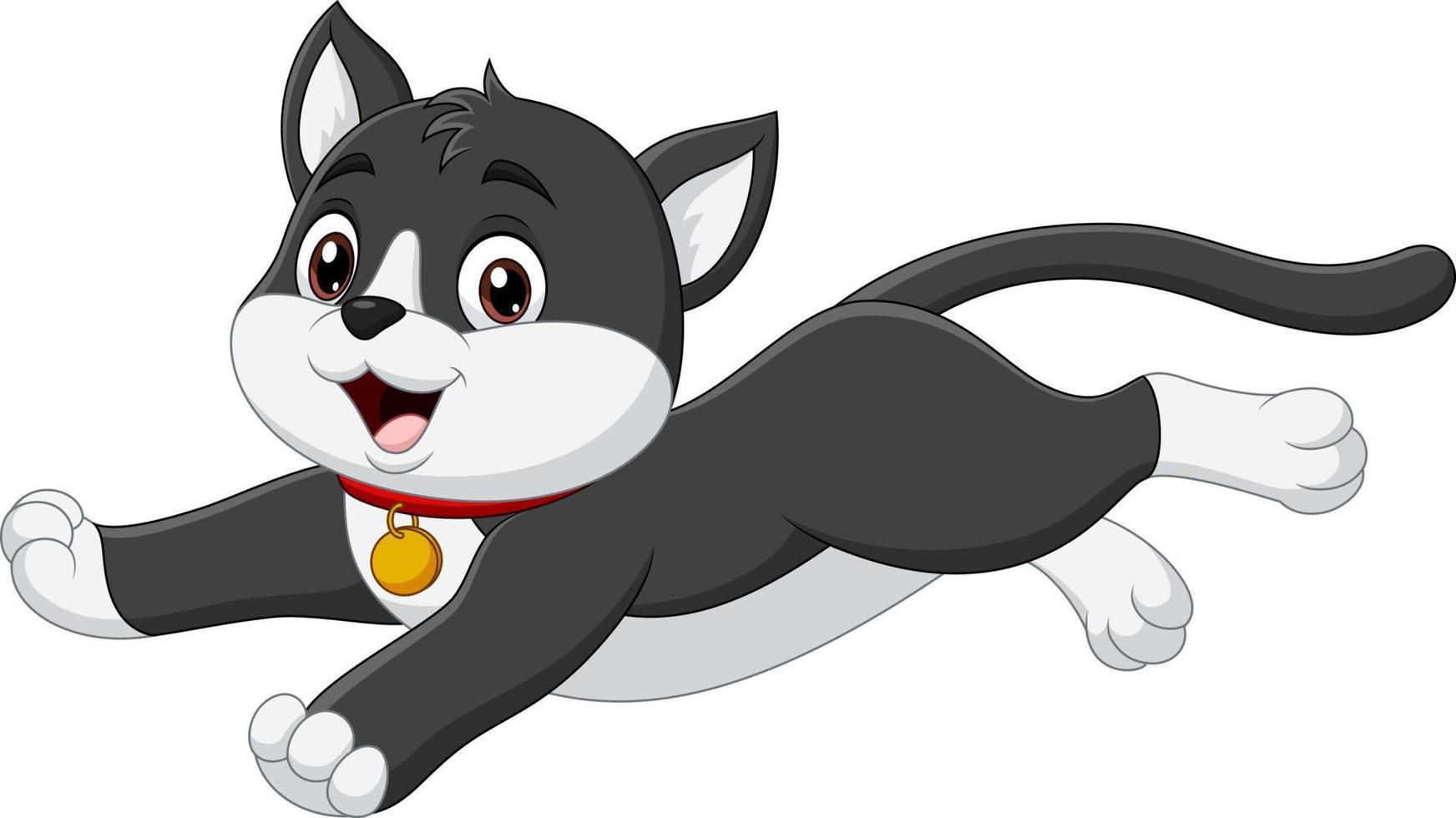 Cartoon black and white cat on white background vector