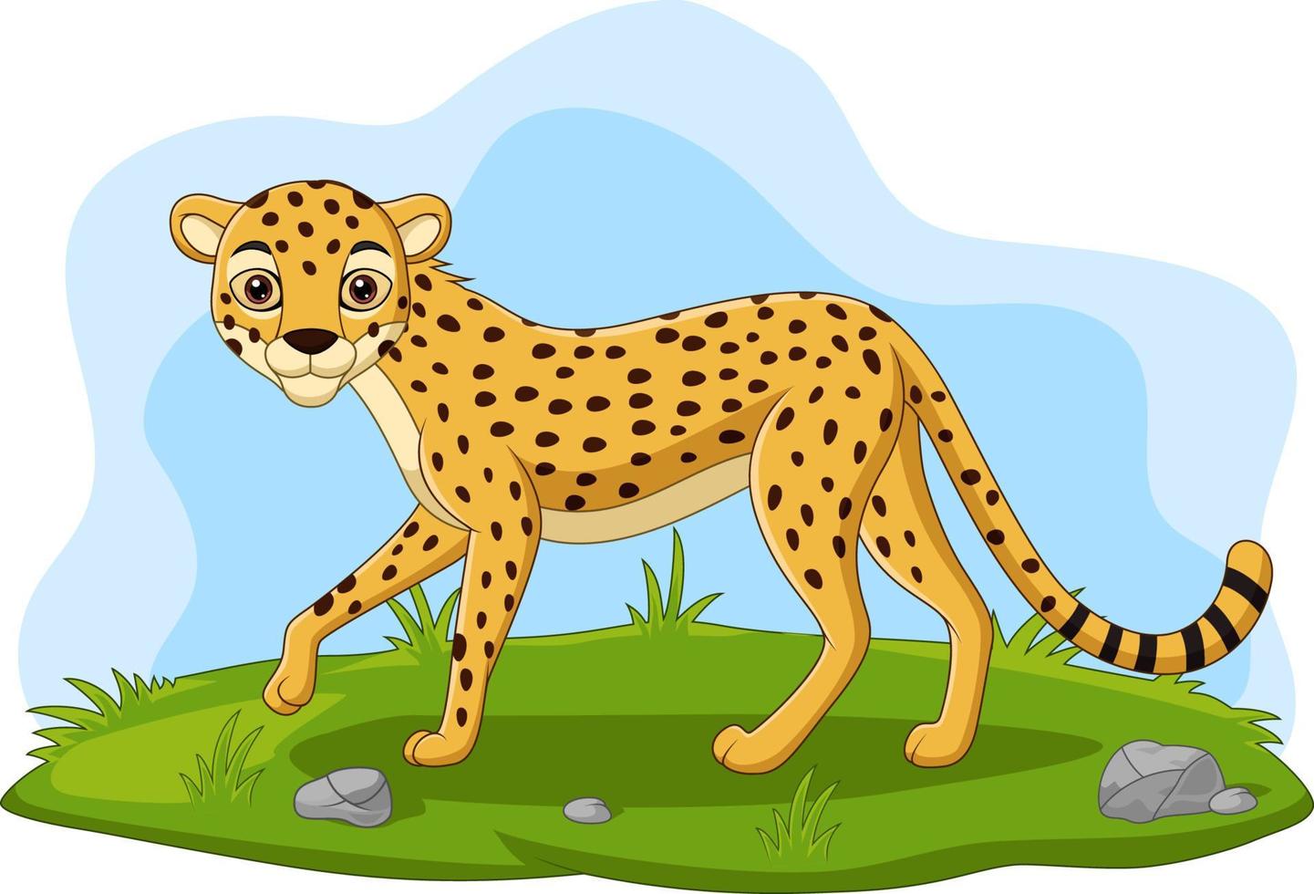 Cartoon cheetah in the grass vector