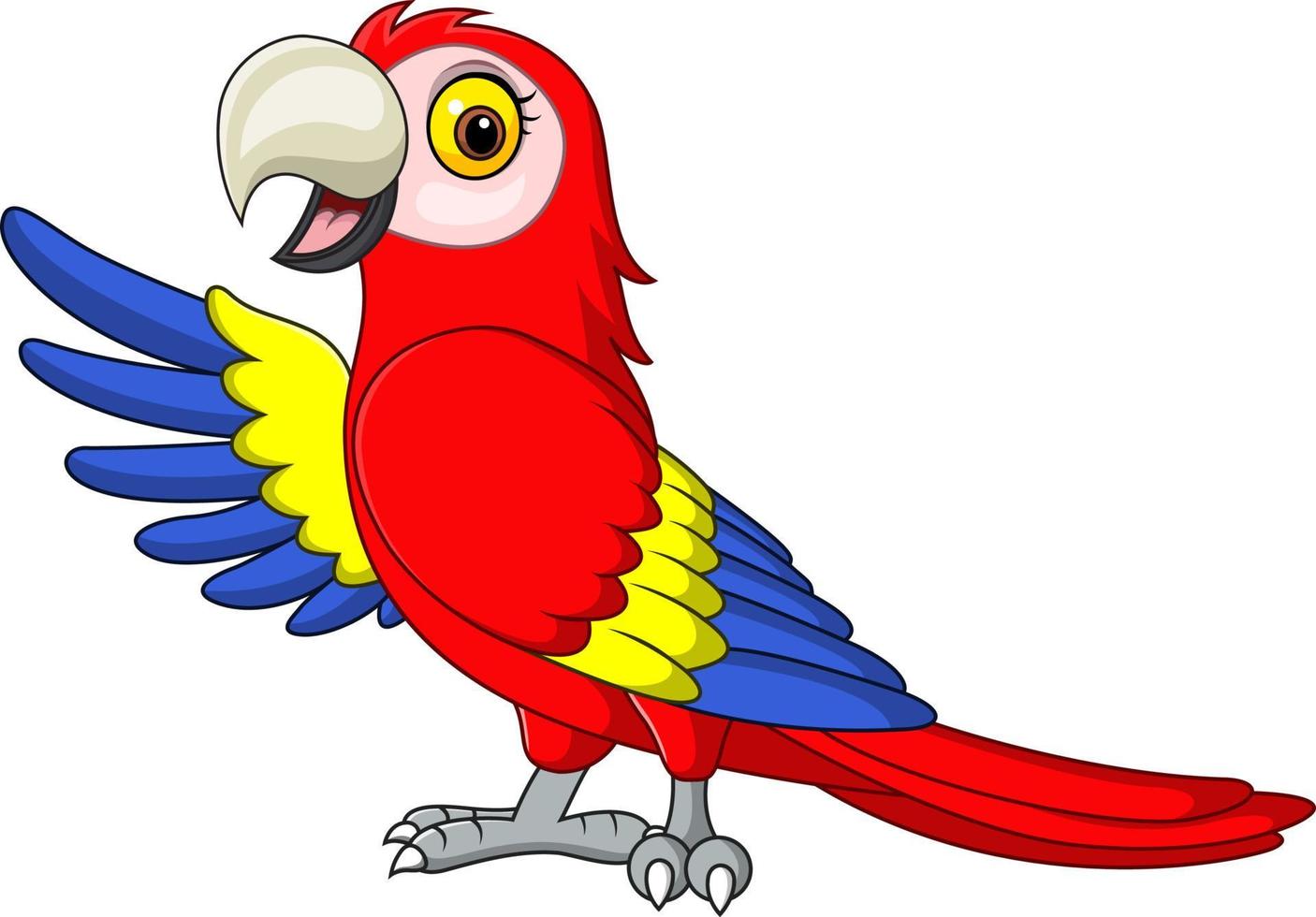 Cartoon funny macaw presenting on white background vector