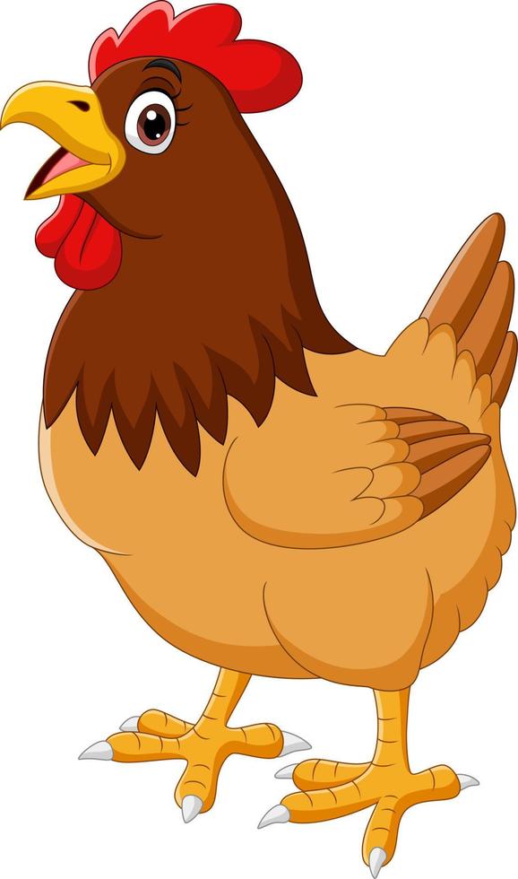 Cartoon funny chicken hen crowing vector