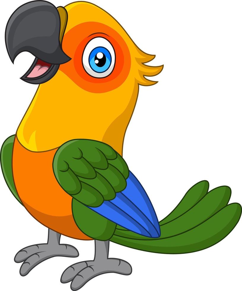 Cartoon funny macaw on white background vector