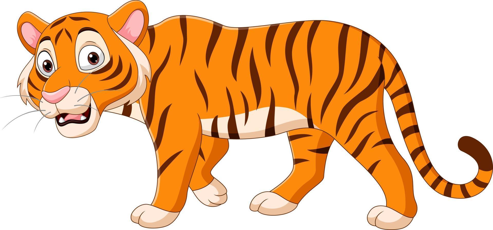 Cartoon tiger on white background vector