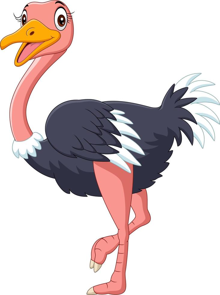 Cute ostrich cartoon on white background vector