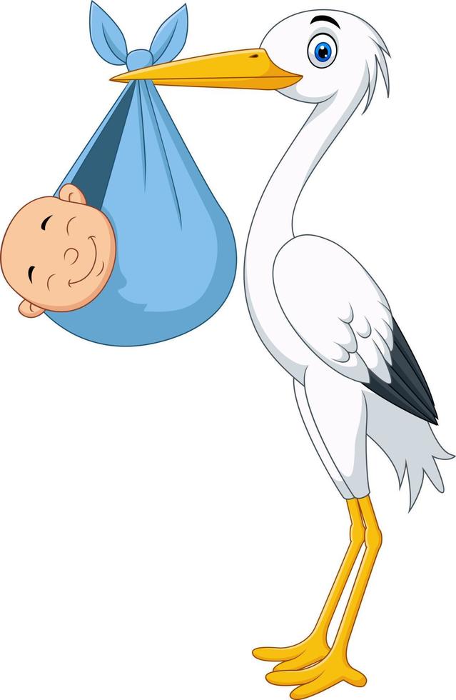 Cartoon stork carrying a newborn vector