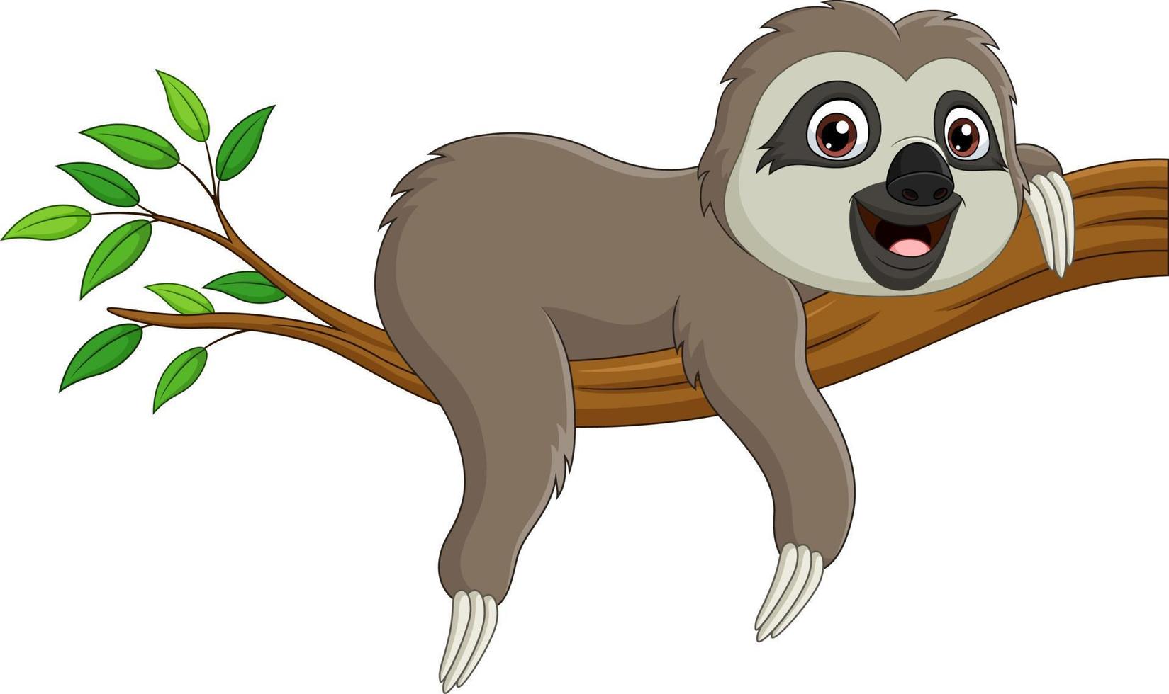 Cute baby sloth on tree branch vector