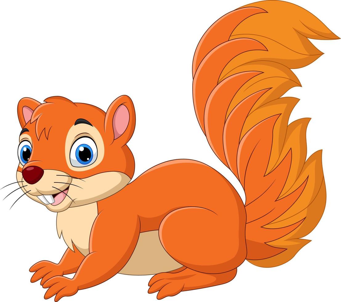 Cartoon funny squirrel isolated on white background vector