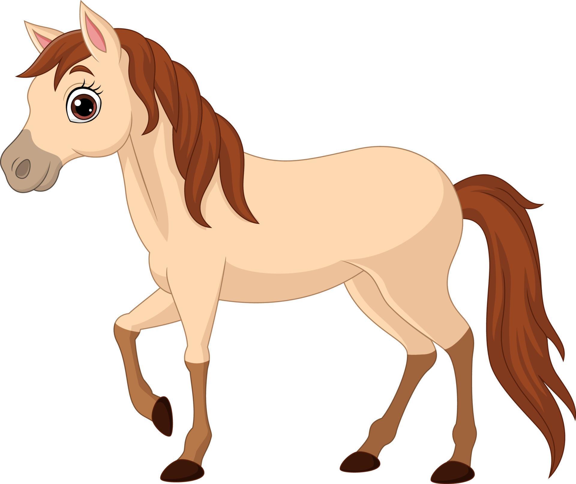 Cartoon brown horse isolated on white background 5152156 Vector Art at