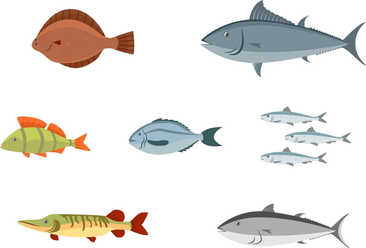 varios peces de mar y peces de agua dulce vector