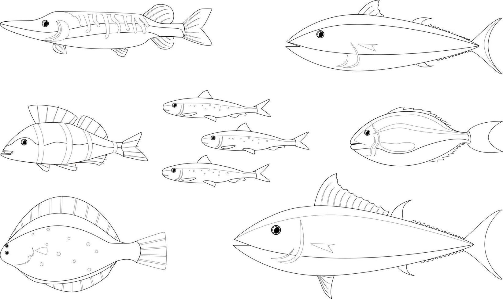 imagen de varios peces sin color para el libro de dibujo vector
