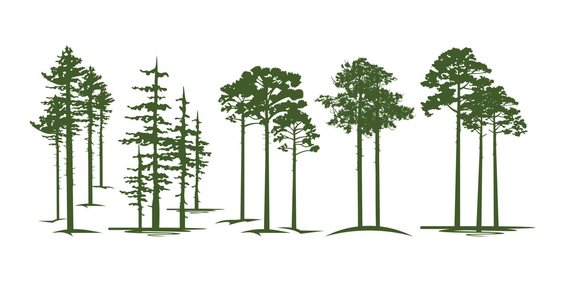 colección de diseño de árboles de pino loblolly vector