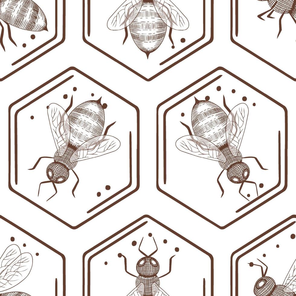 Seamless pattern with hand drawn bees in the honeycomb. vector