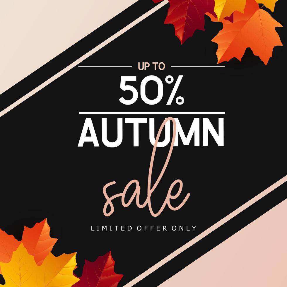 Autumn sale banner background with colorful leaves vector