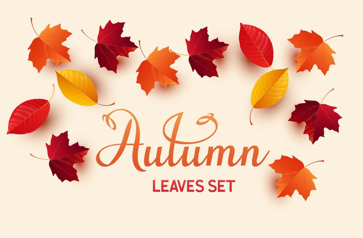 conjunto de coloridas hojas de otoño vector