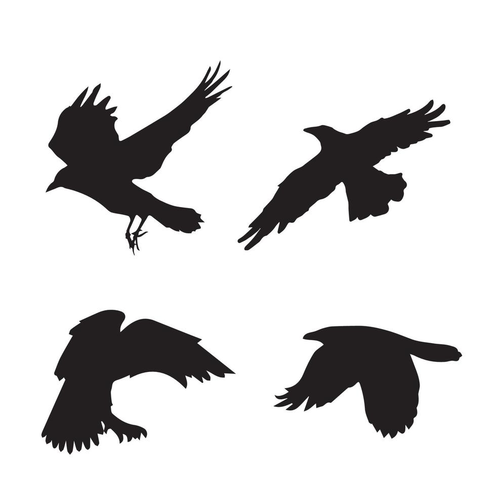 arte de cuervo volador vector
