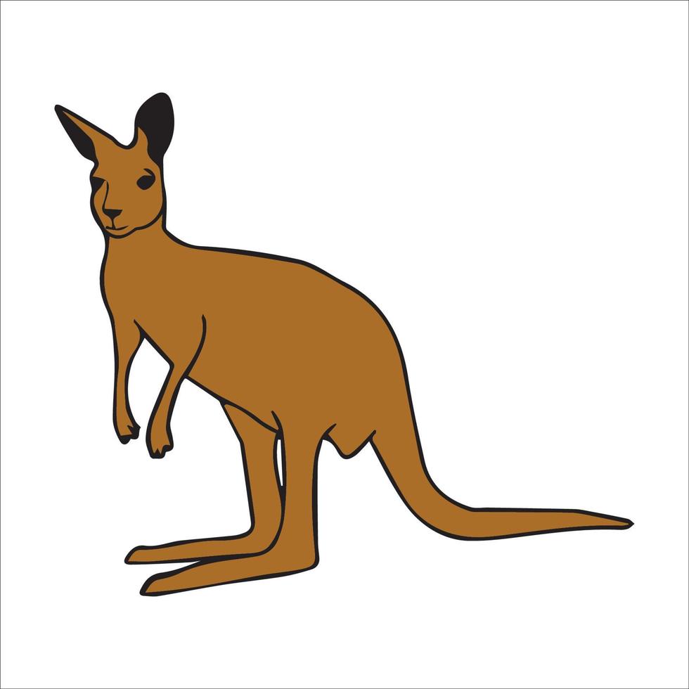 Kangaroo vector art