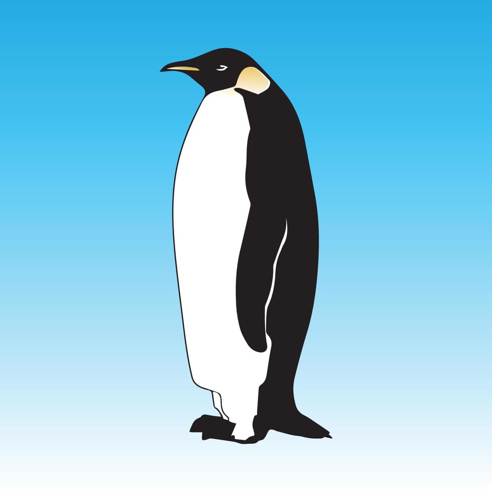 Penguin illustration vector