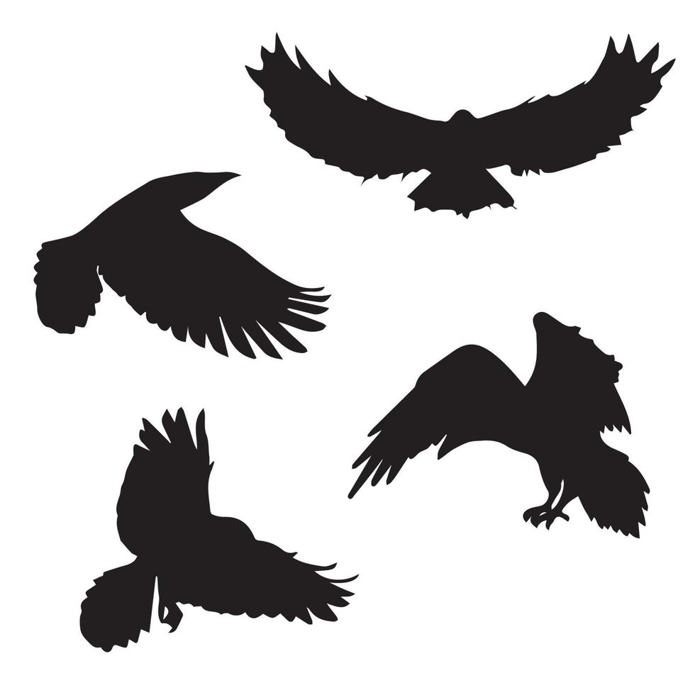 Flying Raven Silhouette vector