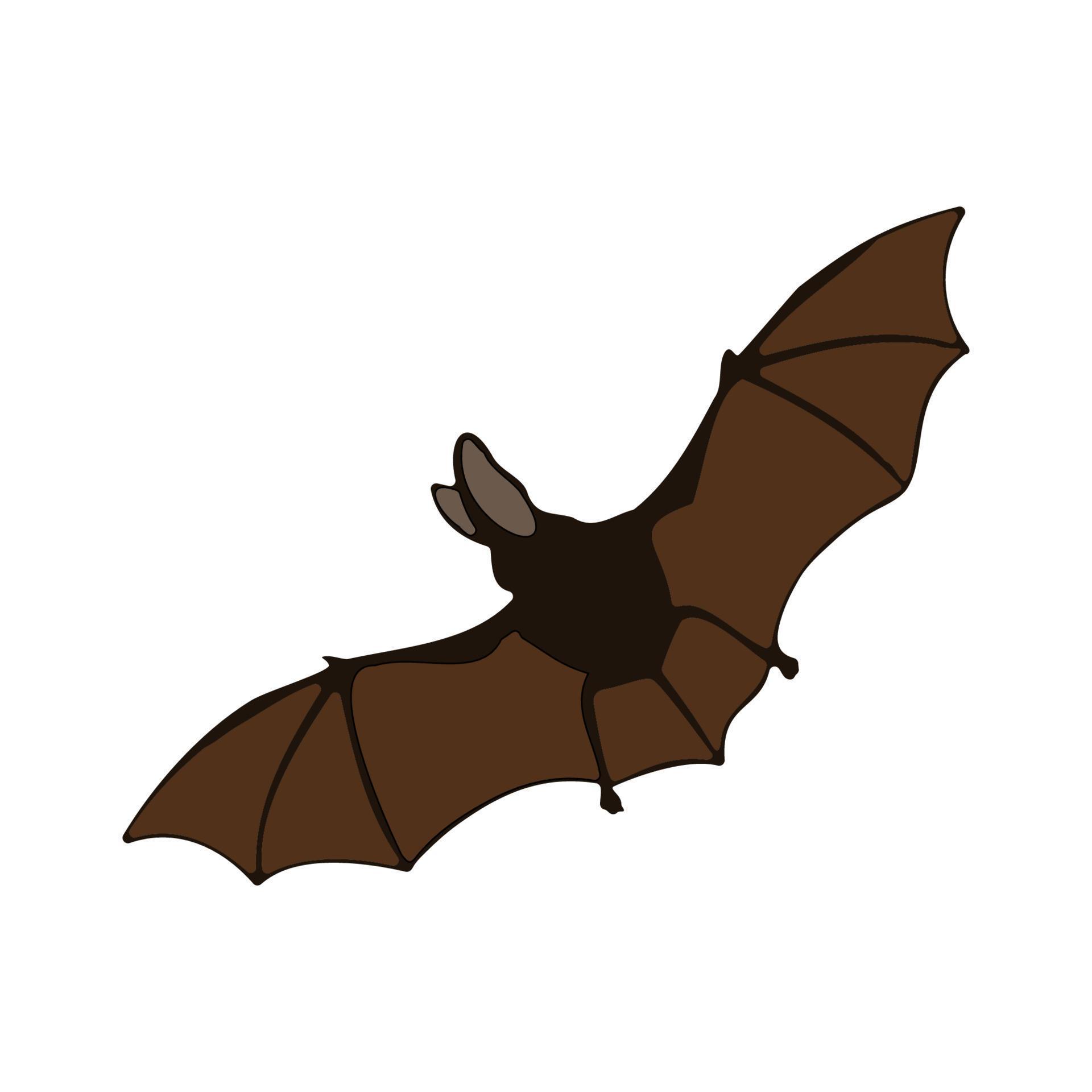 Flying Bat vector 5154777 Vector Art at Vecteezy