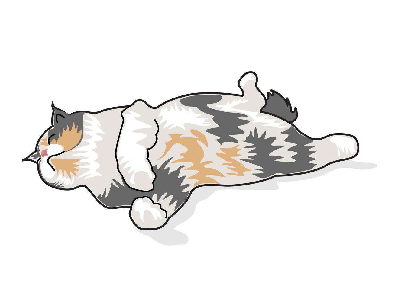lindo gato catnaping ilustración gráfico vector