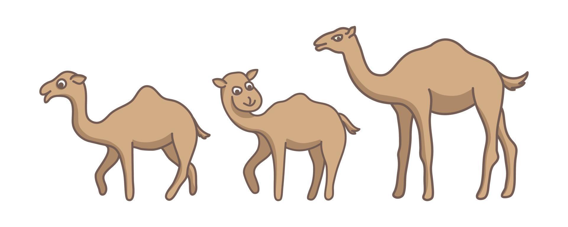 personaje lindo de camello, gráfico de diseño de dibujos animados de vector de colección de conjunto de estilo plano