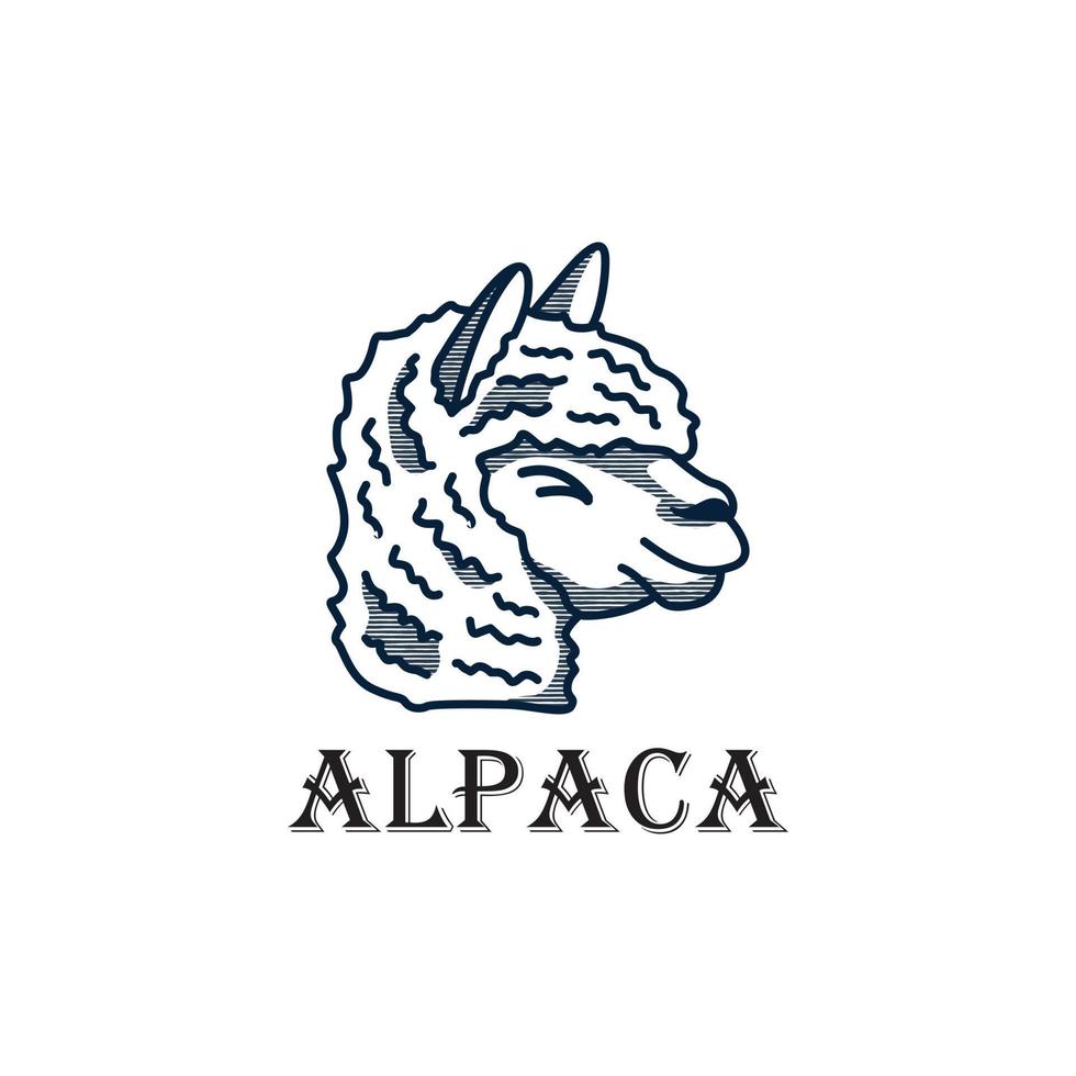 Alpaca logo in line style. Modern farm animal illustration, clean, line art. vector