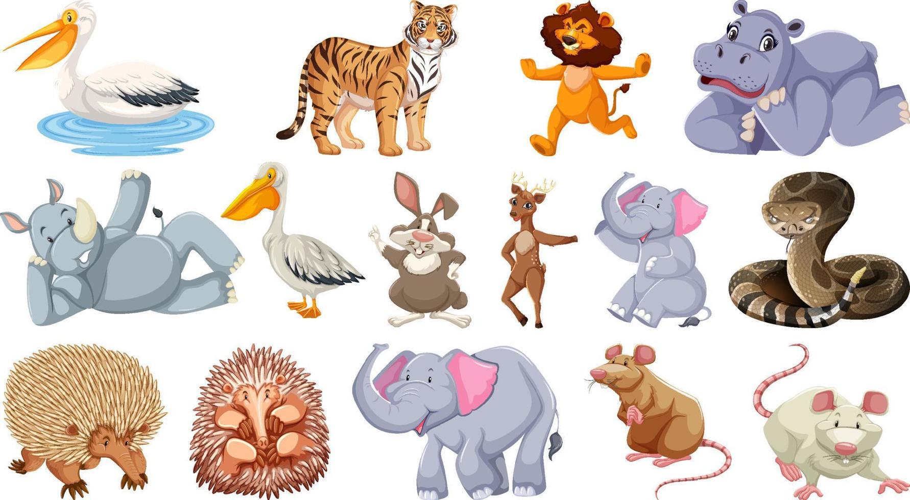 Set of different wild animals cartoon characters vector