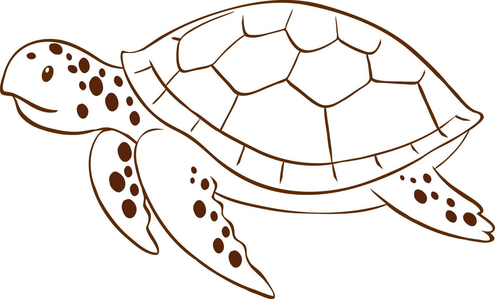 tortuga en estilo simple de garabato sobre fondo blanco vector