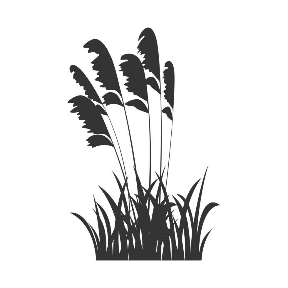 silueta negra de hierba de pantano, juncos de lago. ilustración vectorial de hierba en forma de sombra. vector