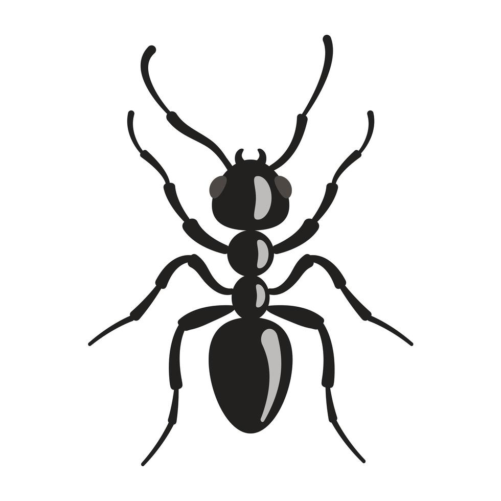 la hormiga es negra. ilustración vectorial de plagas de insectos. vector