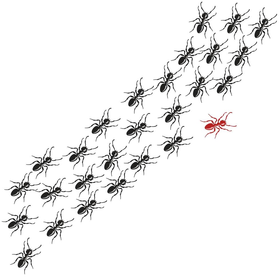camino alterado de la hormiga roja entre negros idénticos. vector