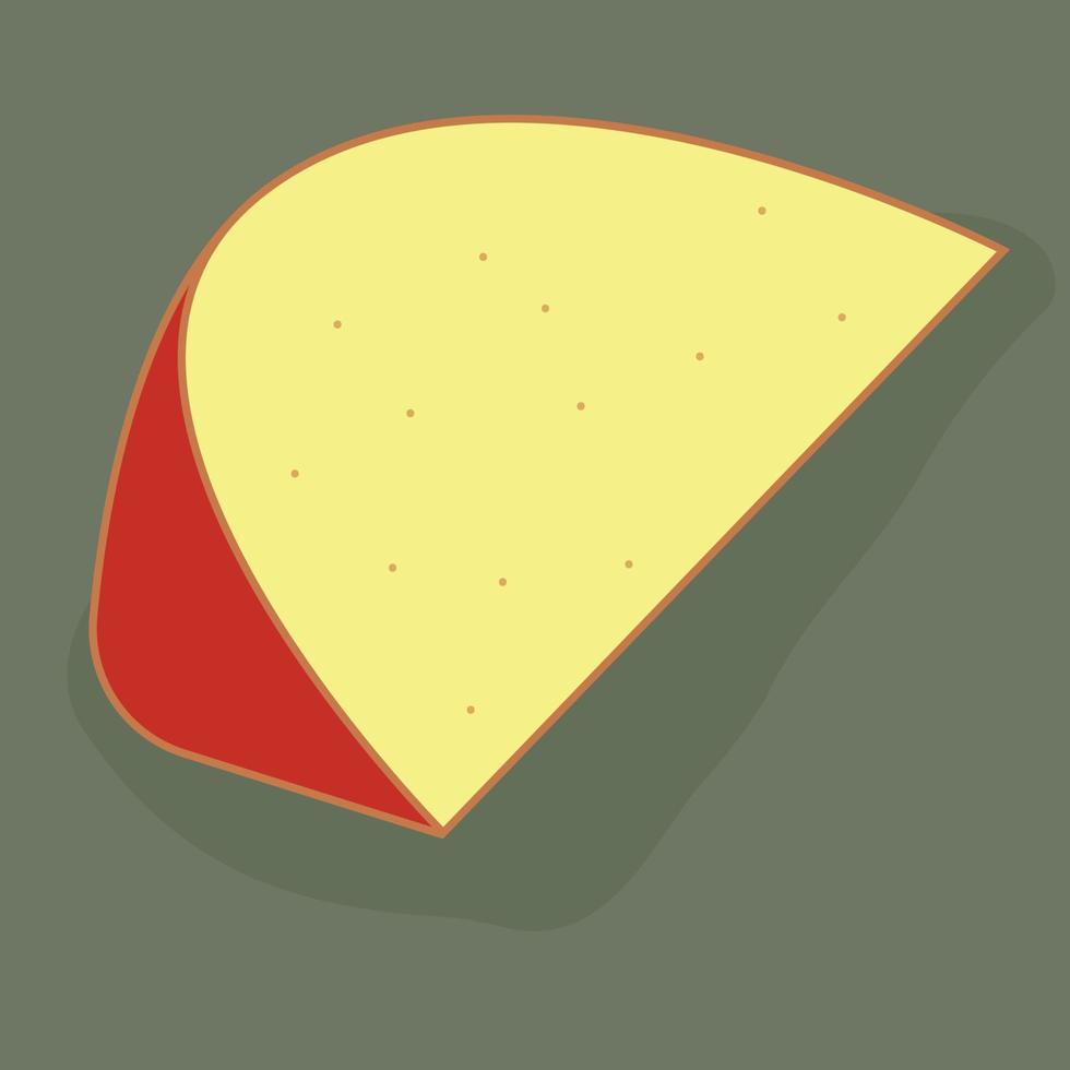 Edam cheese. Vector illustration