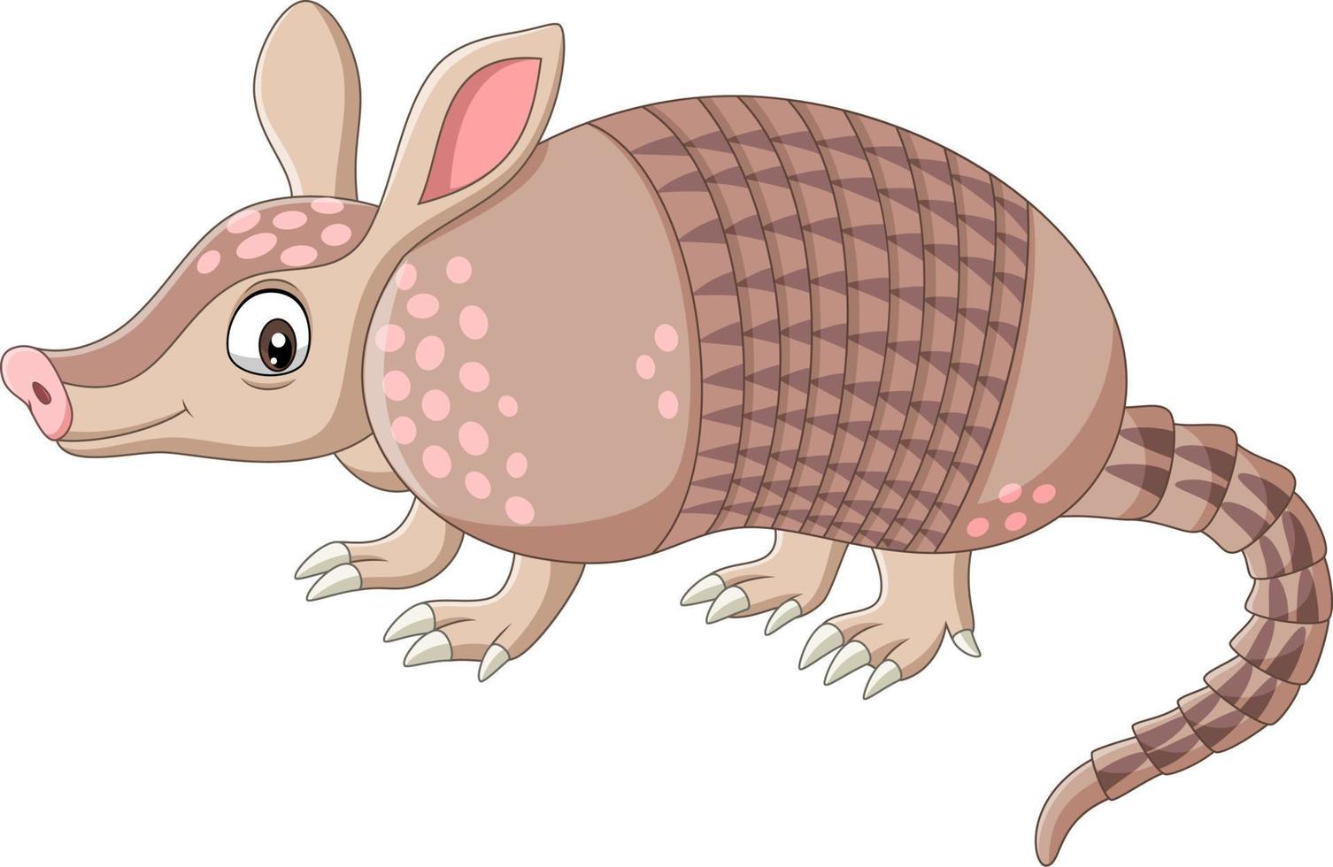 armadillo de dibujos animados sobre fondo blanco vector