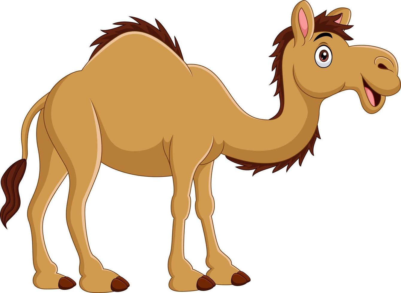 Cartoon camel isolated on white background vector