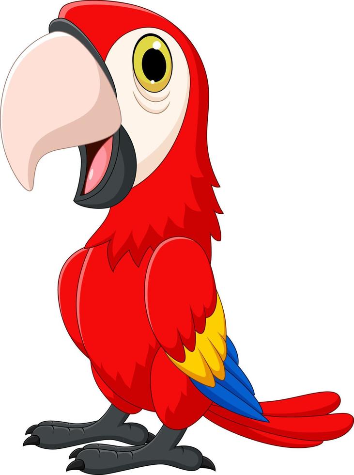 Cartoon funny macaw isolated on white background vector