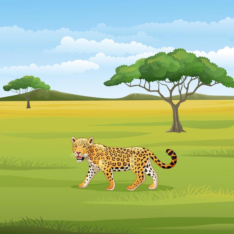 leopardo de dibujos animados en la sabana vector