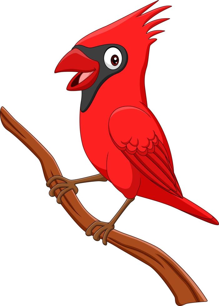 Cartoon cardinal bird on tree branch vector