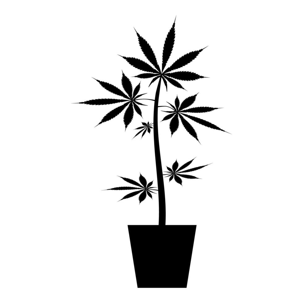 olla de marihuana cannábica en olla cáñamo icono color negro vector ilustración estilo plano imagen