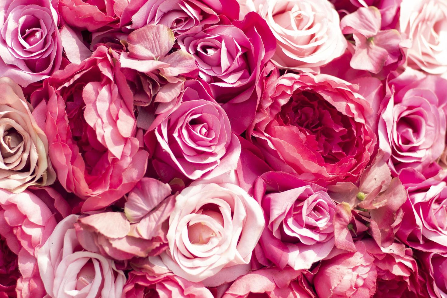 enfoque selectivo hermoso fondo de flores de color rosa. fondo de flor rosa  dulce suave abstracto.