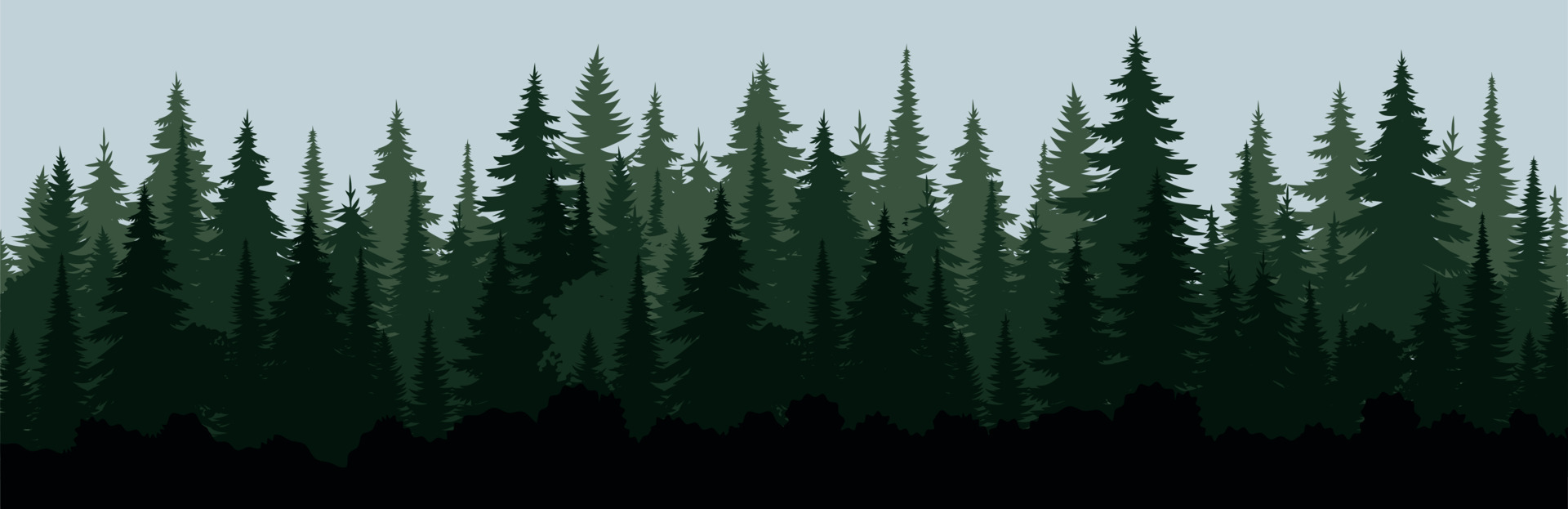 pine trees forest silhouette