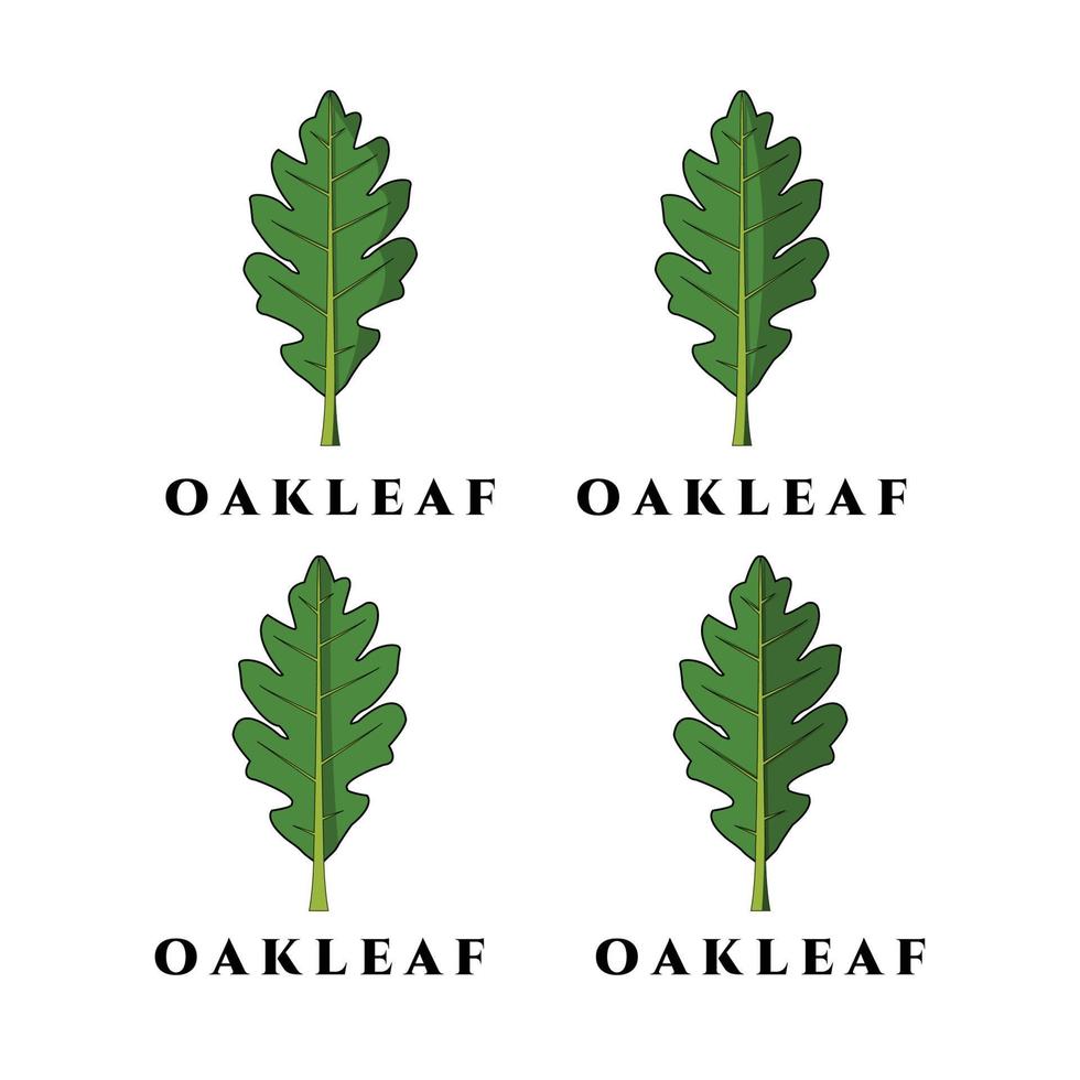Oak leaf logo vector, illustration, design, set logo vector