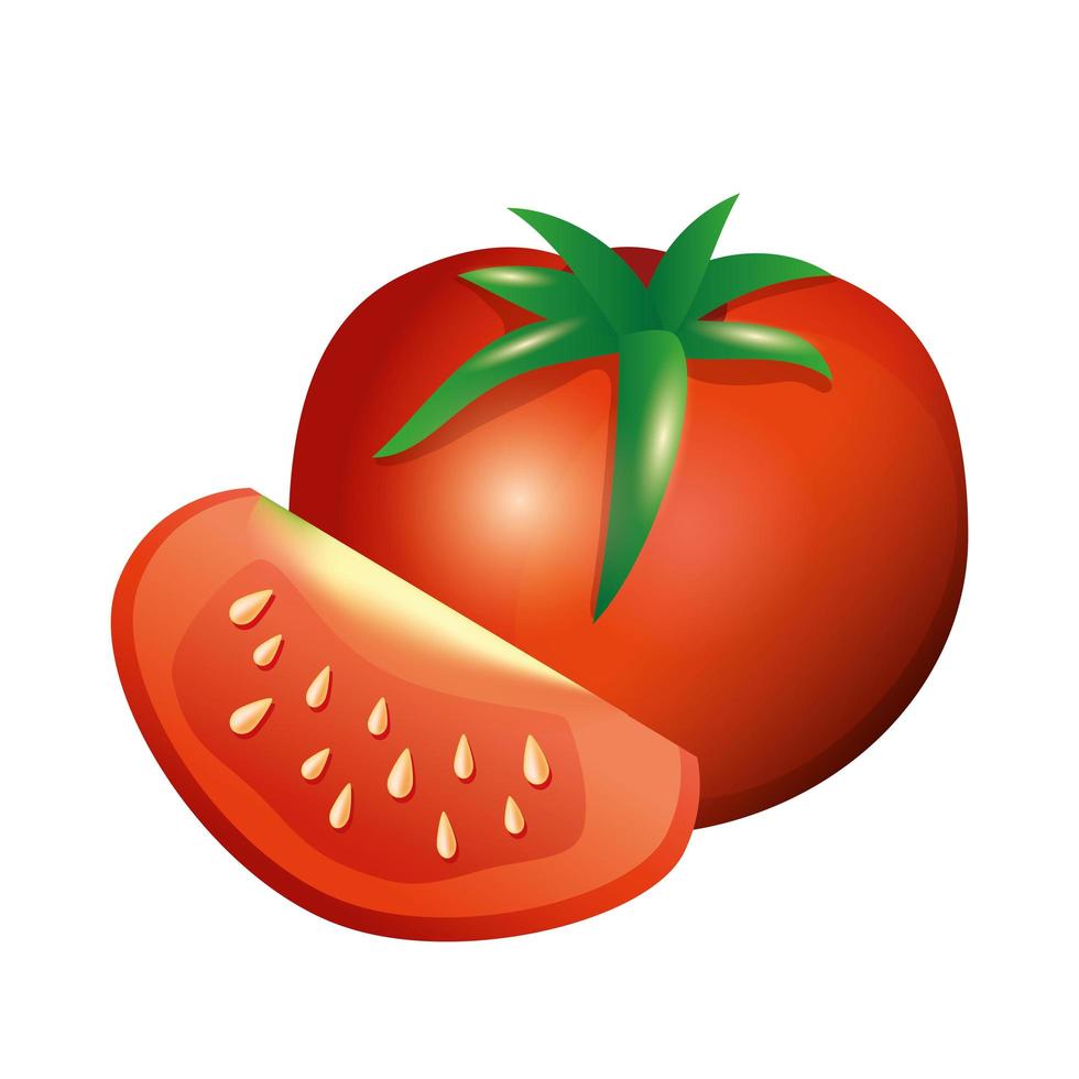 Diseño de vector vegetal de tomates aislados