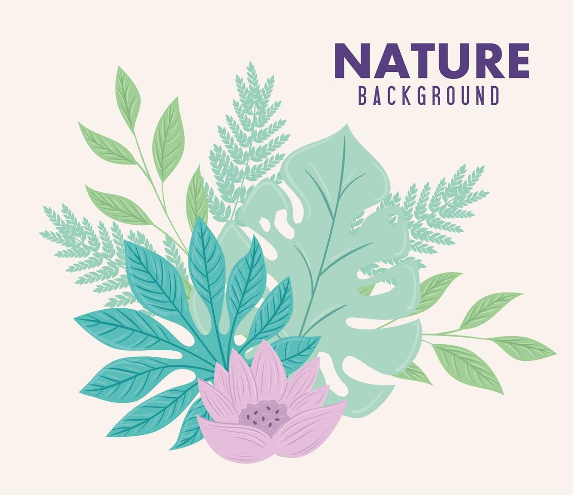 nature background, flower of lilac color pastel with tropical leaves vector