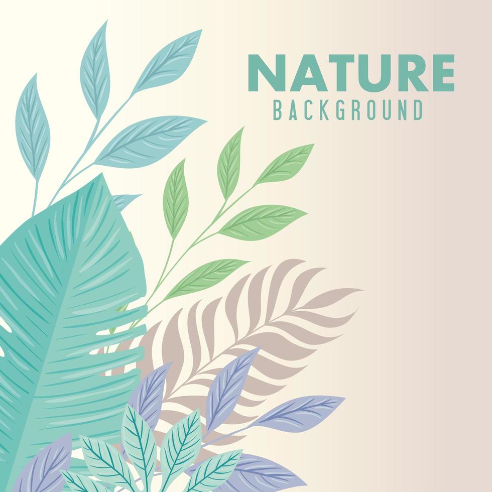 nature background, branches with tropical nature leaves of pastel color vector