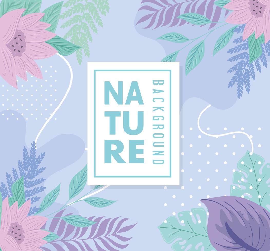 nature background, flowers and tropical nature leaves of pastel color vector