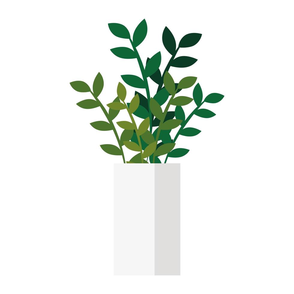 house pot plant on white background vector